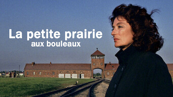 La petite prairie aux bouleaux (2003)