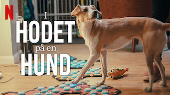 I hodet på en hund (2024)