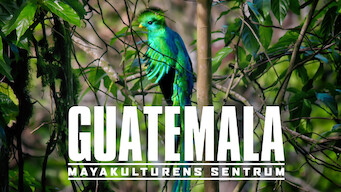 Guatemala: Mayakulturens sentrum (2019)